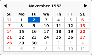 Screenshot of the Calendar widget